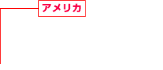 アメリカ 建設事業(yè)、商業(yè)施設事業(yè) サービスアパートメント事業(yè) 不動産開発事業(yè)、賃貸住宅事業(yè) 戸建住宅事業(yè)、海外建設技術調(diào)査