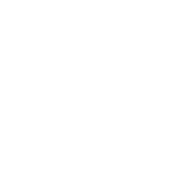 74社 2010