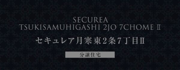 セキュレア月寒東2條7丁目II　(分譲住宅)