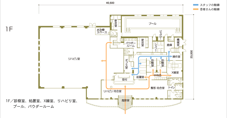 1F/診察室、処置室、X線室、リハビリ室、プール、パウダールーム