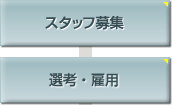 スタッフ募集　選考?雇用