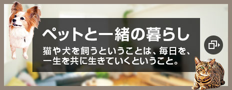 ペットと一緒の暮らし 貓や犬を飼うということは、毎日を、一生を共に生きていくということ。