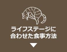 ライフステージに合わせた食事方法