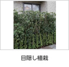 目隠し植栽