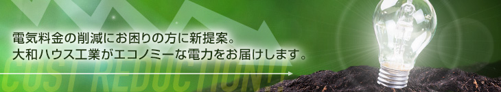 電気料金の削減にお困りの方に新提案。大和ハウス工業がエコノミーな電力をお屆けします。