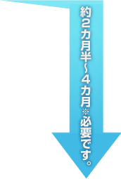 約2カ月半～4カ月※必要です。