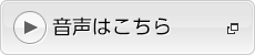 リンクボタン：決算概要説明（音聲）