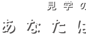 見(jiàn)學(xué)の理由　あなたはどっち？