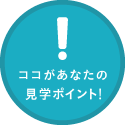 ココがあなたの見學(xué)ポイント！