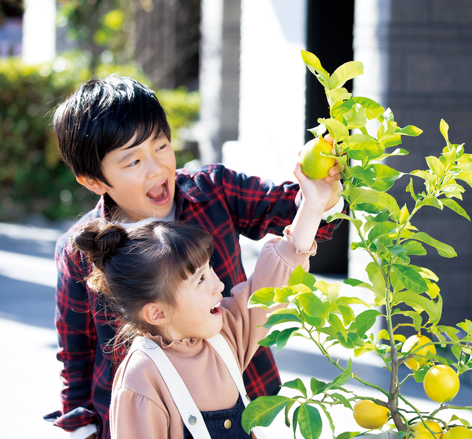 庭を活用するアイデア　「いえ（家）」と「にわ（庭）」で葉う潤いある毎日