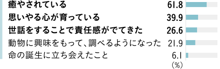 癒やされている 61.8％　思いやる心が育っている 39.9％　世話をすることで責任感がでてきた 26.6％　動物に興味をもって、調べるようになった 21.9％　命の誕生に立ち會えたこと 6.1％