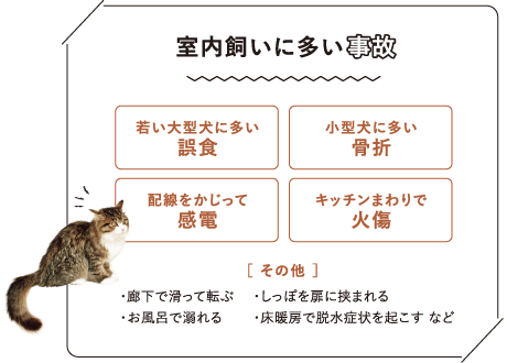 室內飼いに多い事故