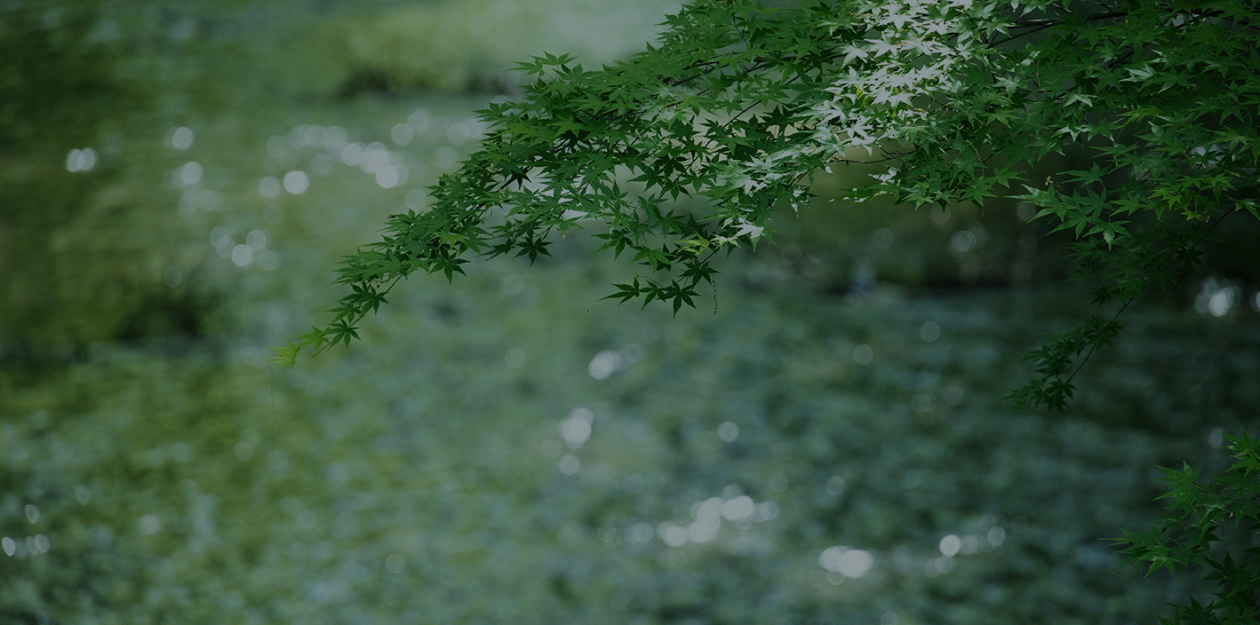 玉川上水緑道