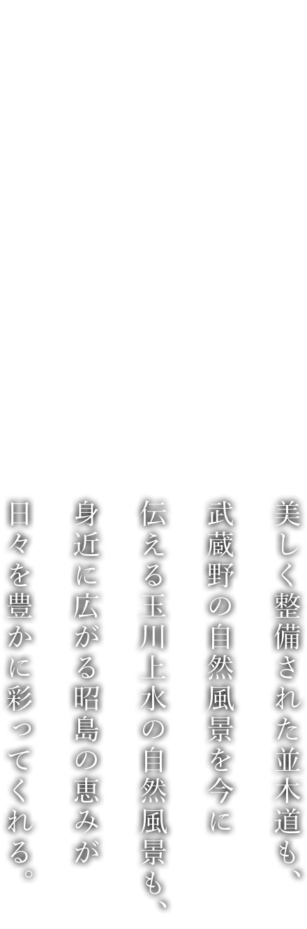 美しく整備された並木道も、武蔵野の自然風景を今に伝える玉川上水の自然風景も、身近に広がる昭島の恵みが日々を豊かに彩ってくれる。