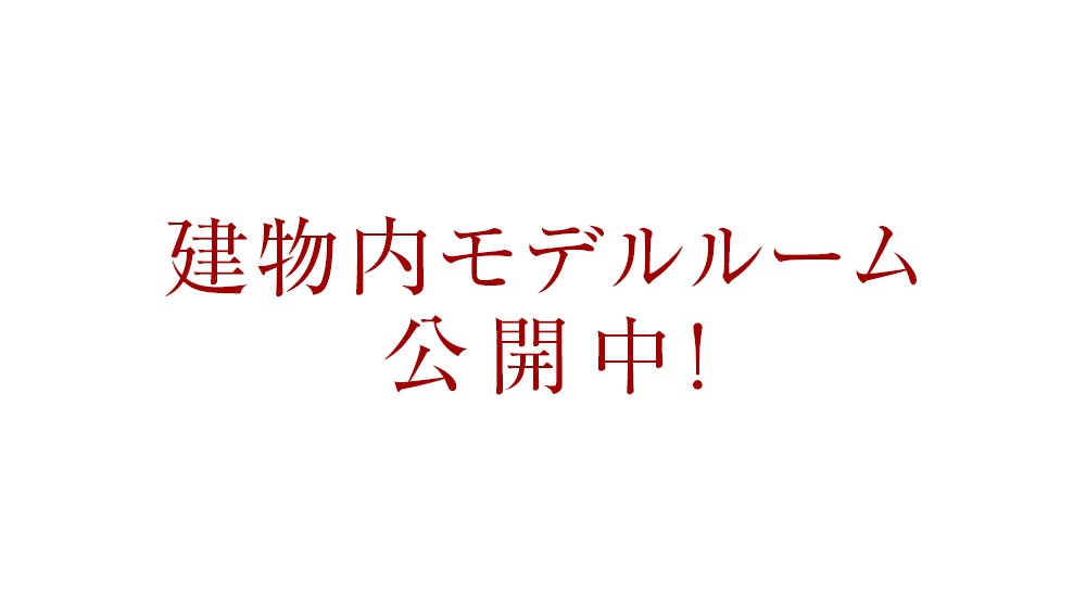 建物內モデルルーム公開中！