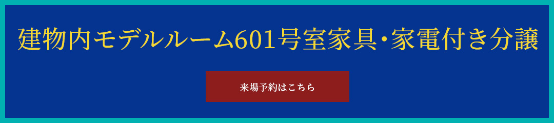 建物內モデルルーム家具?家電付き分譲