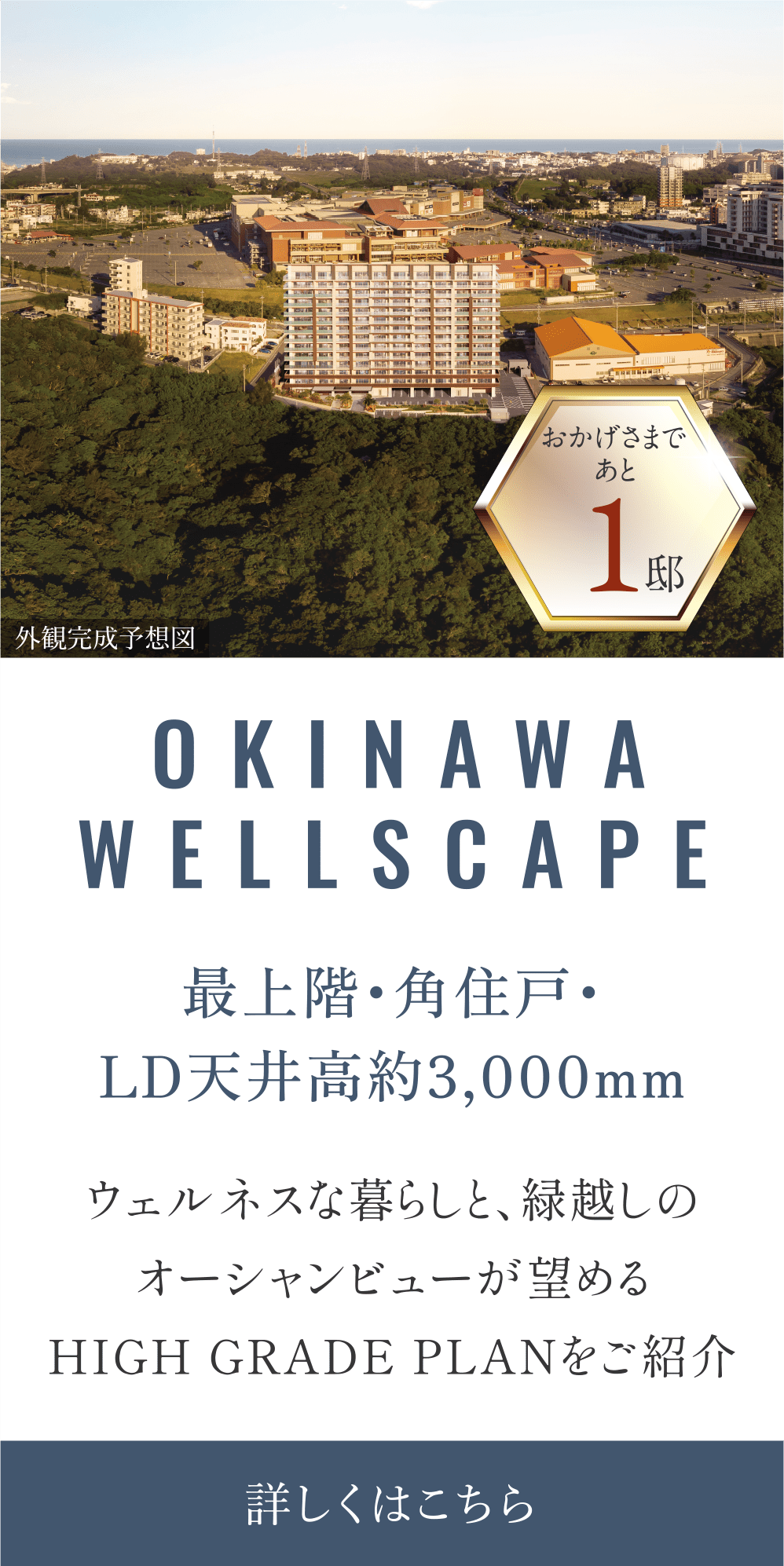 okinawawellscape