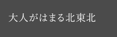 大人がはまる北東北