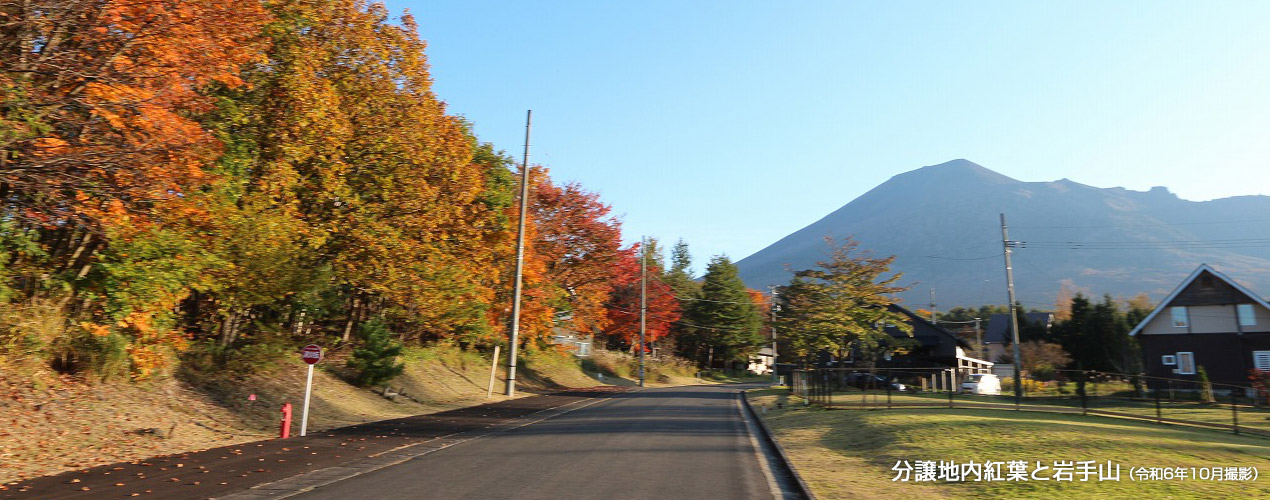 分譲地內紅葉と巖手山（令和6年10月撮影）