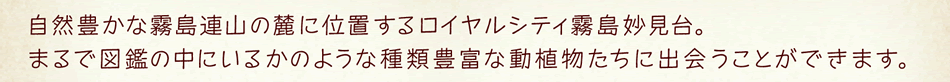 自然豊かな霧島連山の麓に位置するロイヤルシティ霧島妙見臺。まるで図鑑の中にいるかのような種類豊富な動植物たちに出會うことができます。