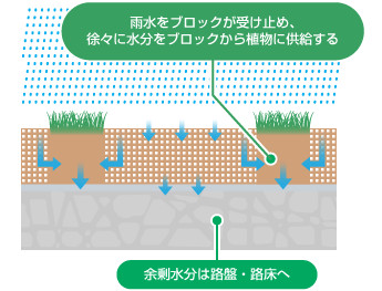 グラスパーキング斷面図