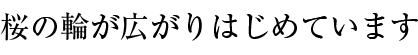 桜の輪が広がりはじめています