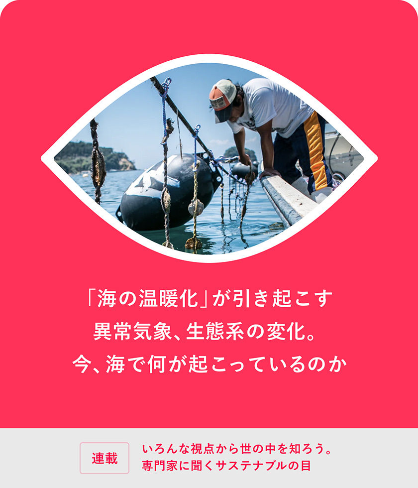 「海の溫暖化」が引き起こす異常気象、生態(tài)系の変化。今、海で何が起こっているのか