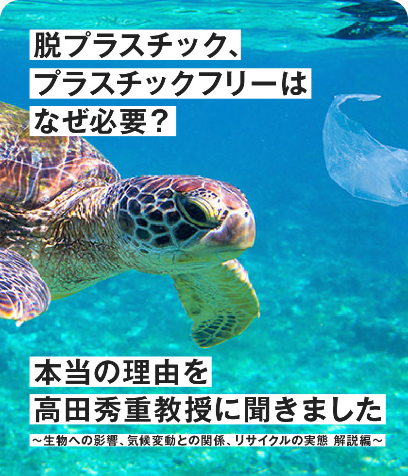 脫プラスチック、プラスチックフリーはなぜ必要？本當(dāng)の理由を高田秀重教授に聞きました?解説編?