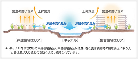 キャナルをはさむ形で戸建住宅街區(qū)と集合住宅街區(qū)が形成。春と夏は積極的に風(fēng)を街區(qū)に取り入れ、冬は風(fēng)が入り込むのを防ぐよう、植栽されています。