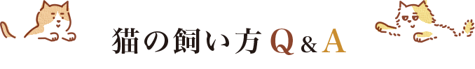 貓の飼い方 Q＆A