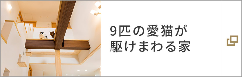 9匹の愛(ài)貓が駆けまわる家