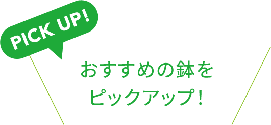 PICK UP!おすすめの鉢をピックアップ！