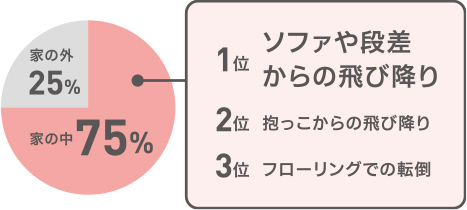 骨折が起きた場所と主な原因