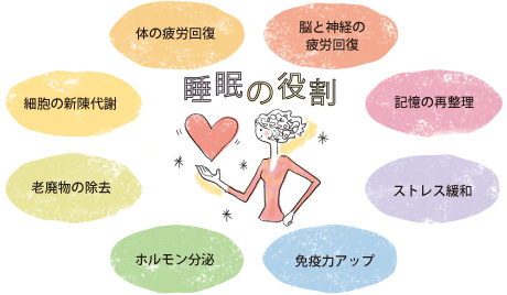 [睡眠の役割]體の疲労回復?細胞の新陳代謝?老廃物の除去?ホルモン分泌?免疫力アップ?ストレス緩和?記憶の再整理?脳と神経の疲労回復