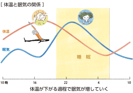 [體溫と眠気の関係]體溫が下がる過程で眠気が増していく