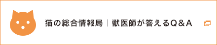 貓の総合情報(bào)局｜獣醫(yī)師が答えるQ＆A