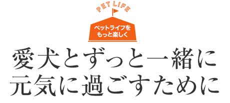 愛犬とずっと一緒に元?dú)荬诉^ごすために