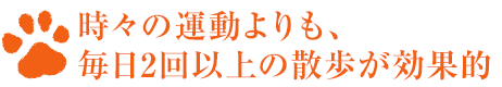 時(shí)々の運(yùn)動(dòng)よりも、毎日2回以上の散歩が効果的