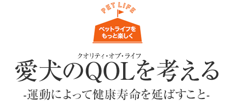 [ペットライフをもっと楽しく]愛犬のQOL(クオリティ?オブ?ライフ)を考える -運動によって健康壽命を延ばすこと-