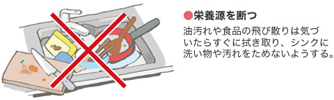 ●栄養源を斷つ 油汚れや食品の飛び散りは気づいたらすぐに拭き取り、シンクに洗い物や汚れをためないようにする。