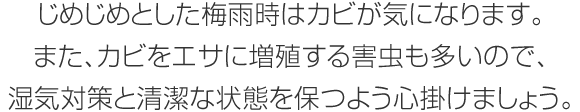 じめじめとした梅雨時はカビが気になります。また、カビをエサに増殖する害蟲も多いので、濕気対策と清潔な狀態を保つよう心掛けましょう。