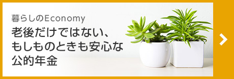 老後だけではない、もしものときも安心な公的年金