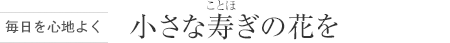 [毎日を心地よく] 小さな壽ぎの花を